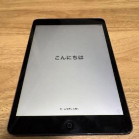 iPad mini 2 16GB Cellular スペースグレイ