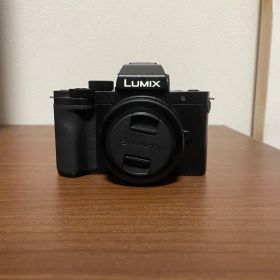 Panasonic LUMIX DC-G100 ミラーレス一眼 本体