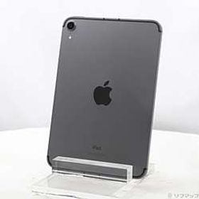 Apple iPad mini 8.3インチ (A17 Pro) スペースグレー 売買相場