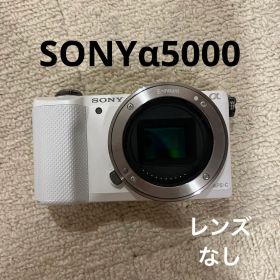 即購入1000円OFF 美品 SONY α5000 手ブレ補正搭載 レンズキット α5000
