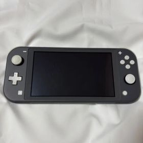 Nintendo Switch Lite 本体 グレー