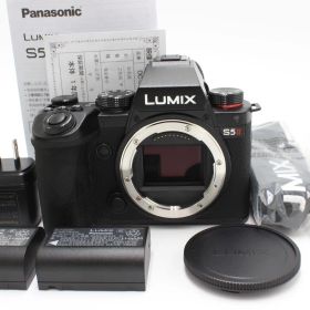 339ショット！パナソニック(Panasonic) S5M2 LUMIX ルミックス DC-S5M2