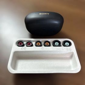 SONY ワイヤレスイヤホン WF-1000XM5 本体 ブラック イヤーチップ