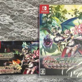 Switch グリムガーディアンズ サーヴァントオブザダーク 未開封