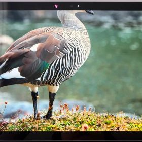 Surface pro6 i7 SSD 256GB RAM 8GB その他付属品