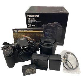 T1008 Panasonic LUMIX DC-G99H レンズキット