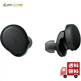 ソニー(SONY) 完全ワイヤレスイヤホン WF-XB700 : 重低音モデル / 最大9時間連続再生 / マイク搭載 2020年モデル 360 Reality Audio認定モデル ブラック WF-XB700 BZ