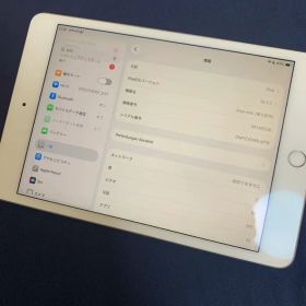 Apple iPad mini 第5世代 本体 Wifi + celuller