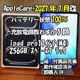 【充放電5回/AppleCare+】iPad Pro 11インチM4 256GB