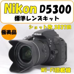 【純正ポーチ・説明書付き】Nikon D5300 一眼レフ カメラ 運動会