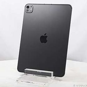iPad Pro 11インチ(M5) 標準ガラス 256GB スペースブラック ME2N4J／A SIMフリー
