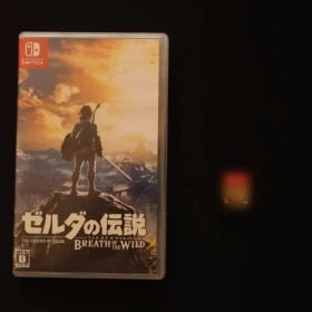 ゼルダの伝説 ブレス オブ ザ ワイルド Nintendo Switch