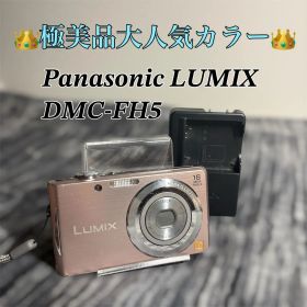 【極美品】Panasonic LUMIX DMC-FH5 本体