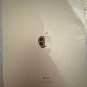 Apple iPad Pro 11インチ 第3世代 128GB 本体