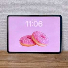 iPad Pro 11インチ M4 2TB Cellular シルバー