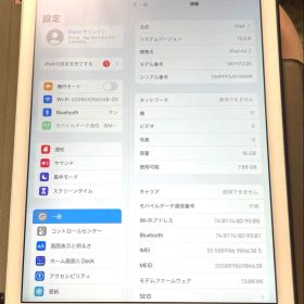 iPad Air 2 Wi-Fi + セルラーモデル 16GB