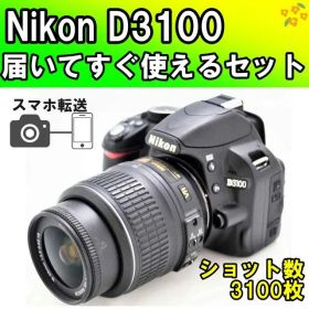 初心者おすすめ✨Nikon D3100 一眼レフカメラ スマホ転送 ガイド付