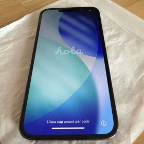 iPhone 13 Pro 新品 47,000円 | ネット最安値の価格比較 プライスランク