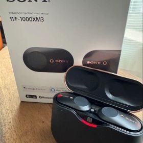 SONYのWF-1000XM3 ワイヤレスイヤホン 本体 箱あり カバー付き