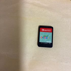 あつまれ どうぶつの森 Nintendo Switch ソフト