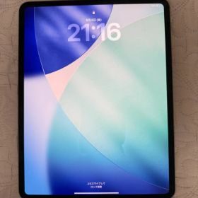 iPad Pro (M4) 13インチ本体 256GB