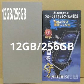 arrows We2 Plus M06 スレートグレイ 12GB/256GB