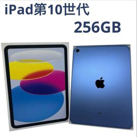 iPad 第10世代 256GB Cellular SIMフリー ブルー ⑤
