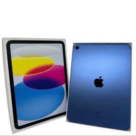 iPad 第10世代 256GB Cellular SIMフリー ブルー ④
