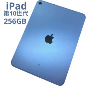 iPad 第10世代 256GB Cellular SIMフリー ブルー ③
