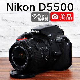 ✨美品 ショット数2901回 完動品✨Nikon D5500レンズセット