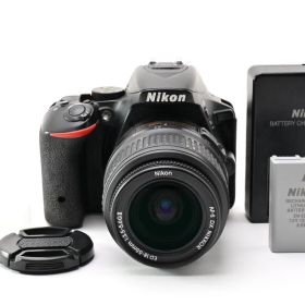 【返品保証】並品｜Nikon ニコン D5500 18-55mm レンズキット 《ショット数：20,150枚》 #C260815-17