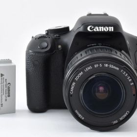 ★美品★ キヤノン CANON EOS Kiss X5 + EF-S 18-55mm F3.5-5.6 II USM #2813
