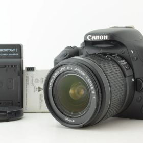 【美品 シャッターカウント 8091回】Canon EOS Kiss X5 EF-S 18-55mm F3.5-5.6 IS II Lens キャノン デジタル一眼レフカメラ EF-TN-JP2857