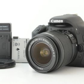 【美品 シャッターカウント 1035回】Canon EOS Kiss X5 EF-S 18-55mm IS II Zoom Lens キヤノン デジタル一眼レフカメラ EF-TN-JP2646