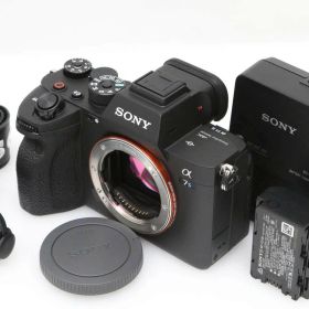 【中古】【美品】ソニー α7S III ILCE-7SM3 ボディ CA01-D299-2P1B SONY Eマウント フルサイズ 5軸手ブレ補正 EVF 中古