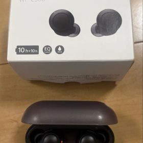 SONY ワイヤレスイヤホン WF-C500 ブラック