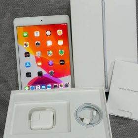 【新品同様】Apple iPad mini Cellular 64GB 100%