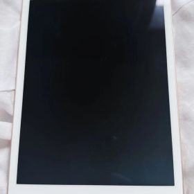 Apple iPad mini 第５世代64G-wifiモデル本体
