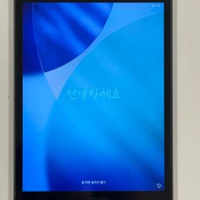 Apple iPad mini 第5世代 Wi-Fiモデル 256GB