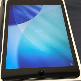 iPad mini 第5世代 64GB Cellular A2124 グレー