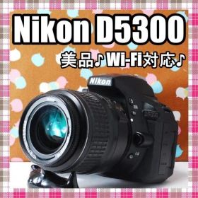 ✨美品✨Wi-Fi搭載機種✨Nikon D5300 レンズセット