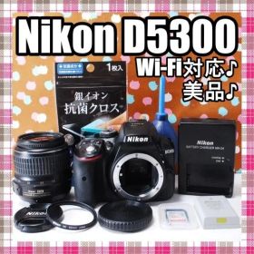 ✨Wi-Fi搭載機種✨美品✨Nikon D5300 レンズセット