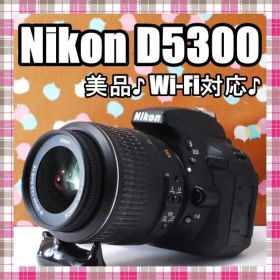 ✨美品✨Wi-Fi搭載✨Nikon D5300 レンズセット