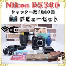 Nikon D5300 18-105㎜ 高倍率レンズ付き 初心者おすすめセット