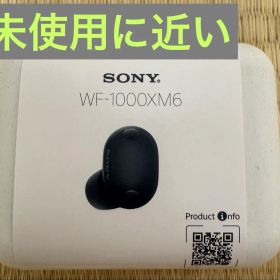 【美品】SONYワイヤレスイヤホン WF-1000XM6 ブラック