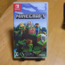 Switch マインクラフト