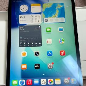 iPad Pro 11インチ2021第3世代256GBセルラーSIMフリー極美品