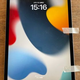 iPad Pro 11インチ (第1世代) 256GB WiFi + セルラー
