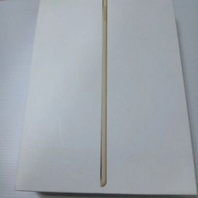 Apple iPad Air 2 64GB Wi-Fi ジャンク