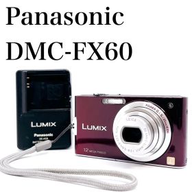 パナソニック ルミックス DMC-FX60 エモい コンデジ カメラ